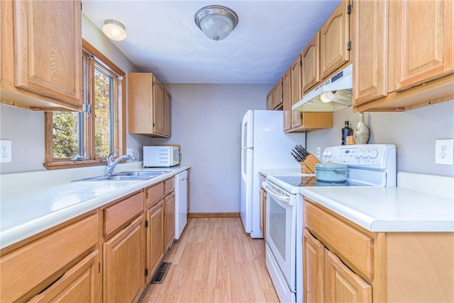 kitchen with sink, white appliances, and light hardwood / wood-style floors