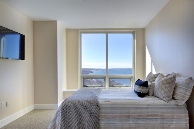 bedroom featuring a water view and carpet flooring