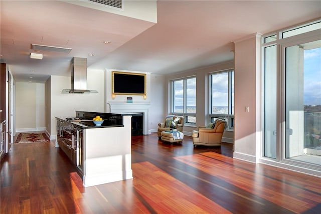 kitchen with dark wood-type flooring and island exhaust hood