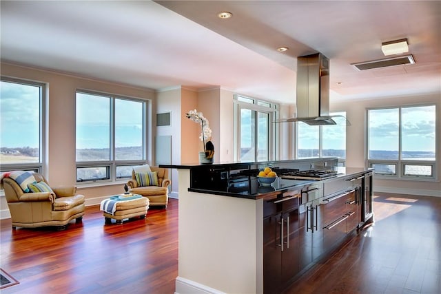 kitchen featuring stainless steel gas stovetop, island range hood, dark brown cabinets, and dark wood-type flooring