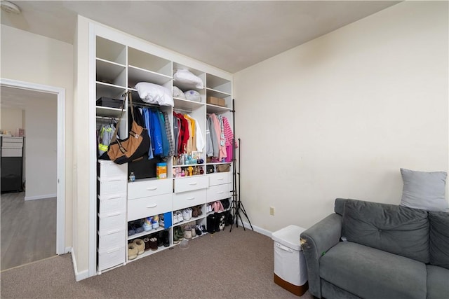 view of closet