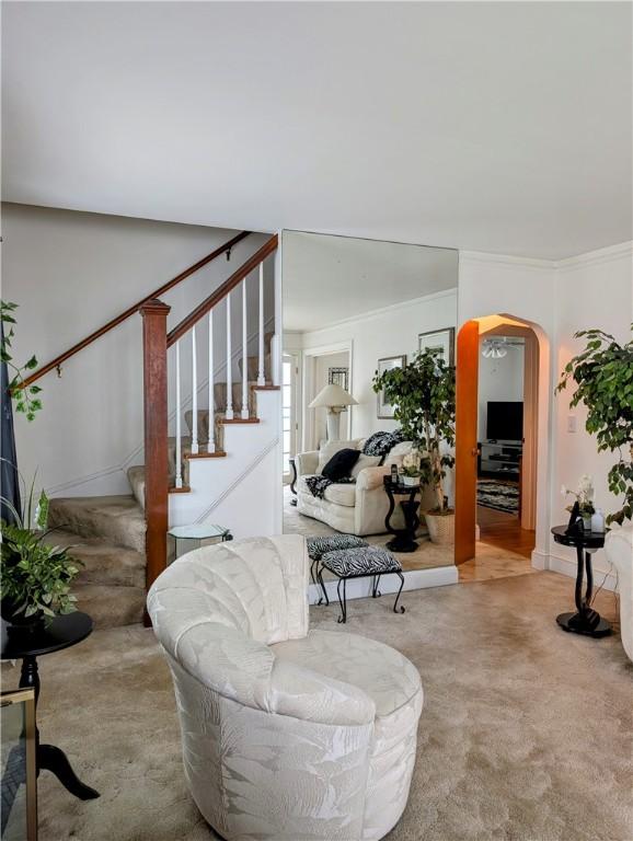 carpeted living room with crown molding