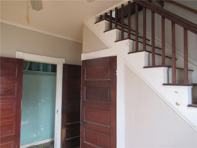 stairway featuring ceiling fan and ornamental molding