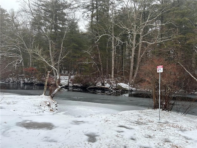 view of snowy yard