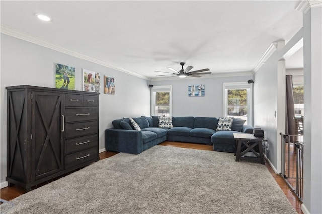 living room with dark hardwood / wood-style flooring, ornamental molding, and ceiling fan