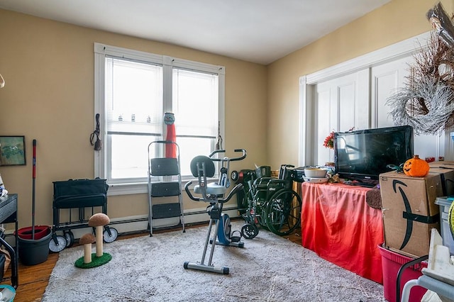 workout area featuring hardwood / wood-style flooring