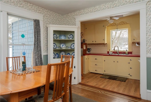 dining space featuring sink, hardwood / wood-style floors, and ceiling fan