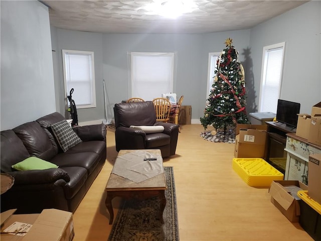 living room with a healthy amount of sunlight and light hardwood / wood-style floors