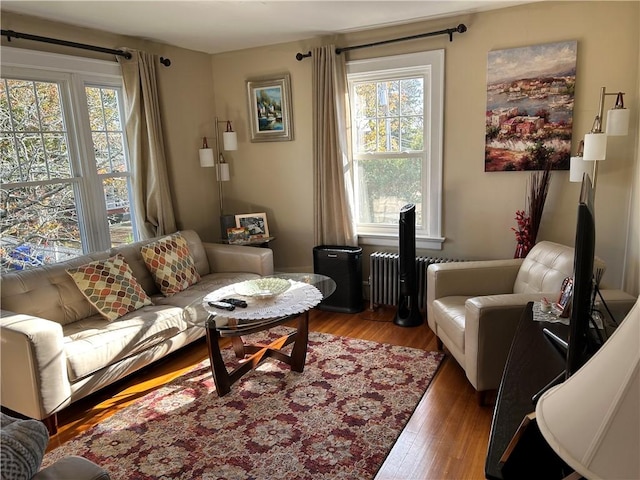 living room with dark wood finished floors