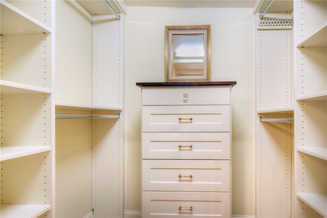 view of spacious closet