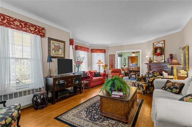 living room featuring radiator heating unit and wood finished floors