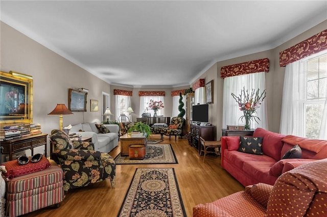 living room featuring wood finished floors