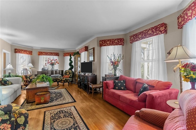 living room with wood finished floors