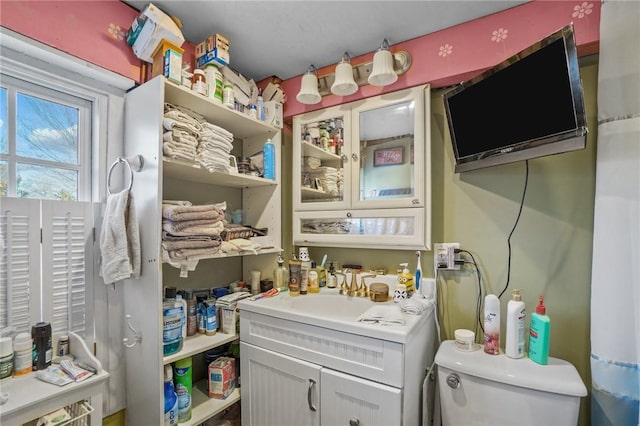 bathroom with toilet and vanity