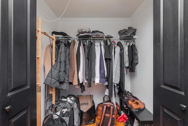 view of spacious closet