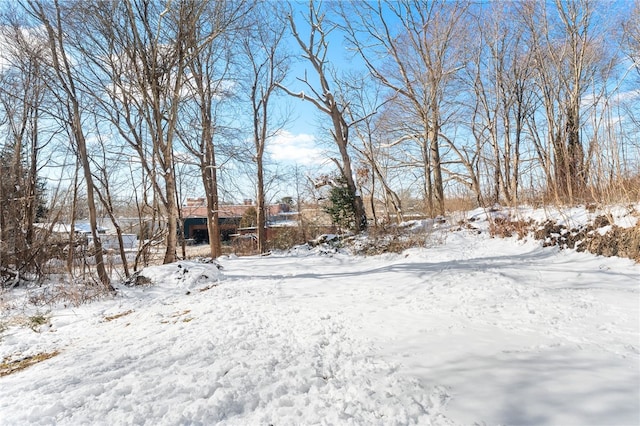 view of snowy yard