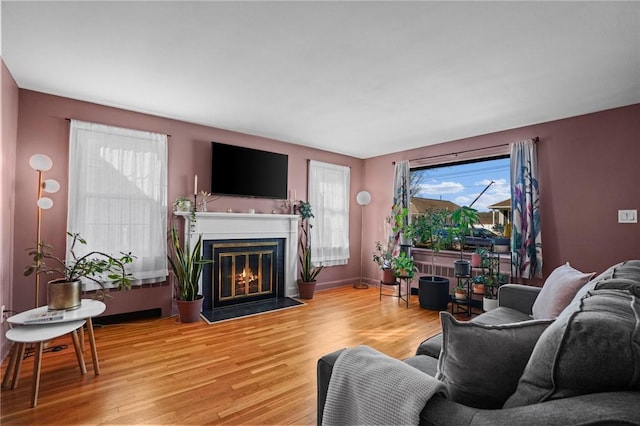 living room featuring a glass covered fireplace, baseboards, and wood finished floors