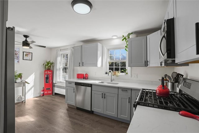 kitchen with radiator, gray cabinets, a sink, stainless steel appliances, and light countertops