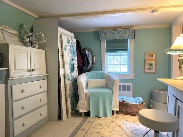 sitting room with radiator