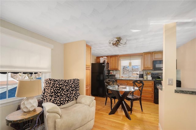 living room with light hardwood / wood-style flooring and sink