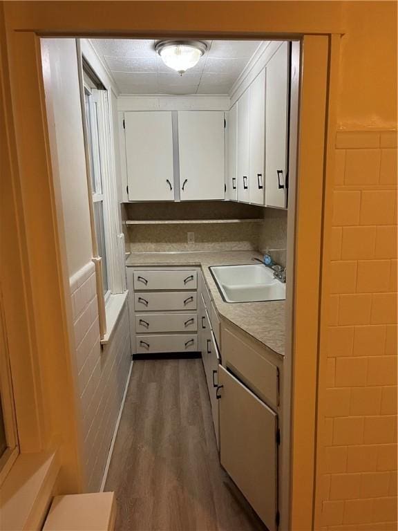 kitchen featuring dark wood-style floors, light countertops, wainscoting, white cabinetry, and a sink