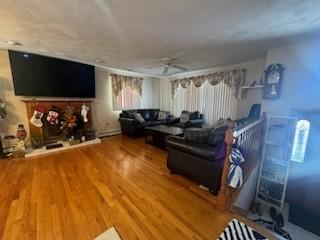 living room featuring ceiling fan and wood-type flooring