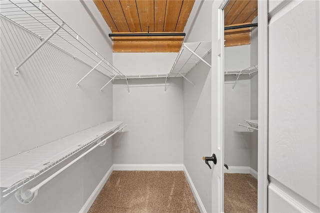 spacious closet with carpet