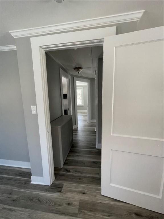840 S Main St, Burrillville, RI 02859 - hallway with baseboards, dark wood-style flooring, and crown molding