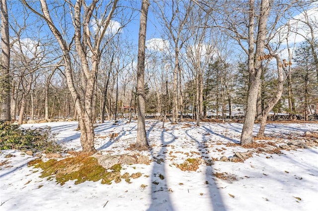 view of yard layered in snow