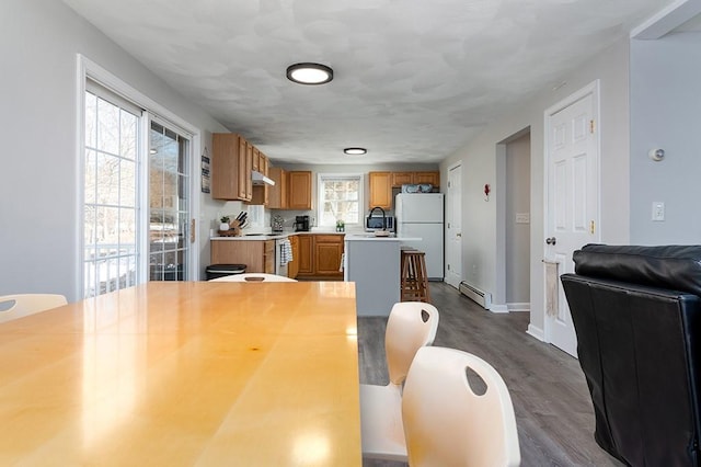 dining space with dark wood-style floors, baseboard heating, and baseboards