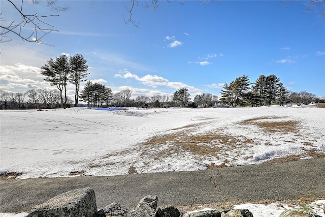 view of snowy yard