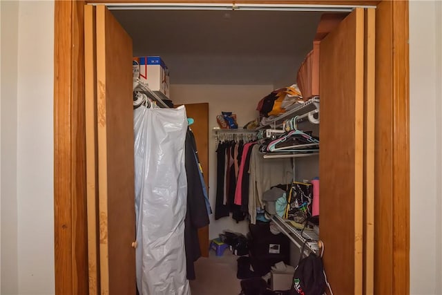 view of walk in closet