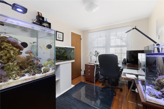 office space featuring dark wood-style floors