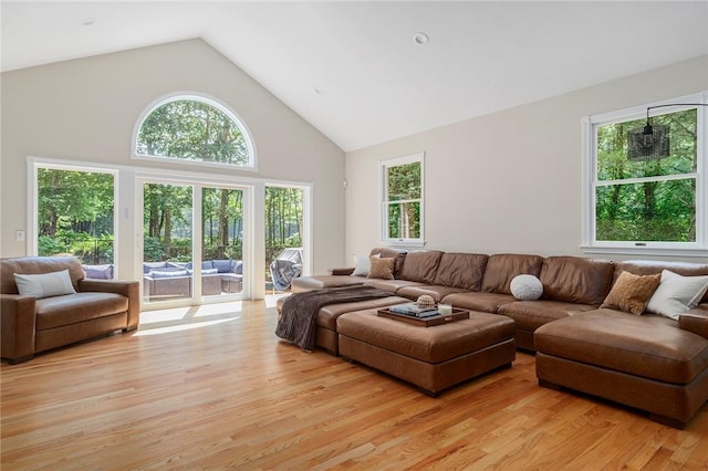 living area with high vaulted ceiling, plenty of natural light, and light wood finished floors