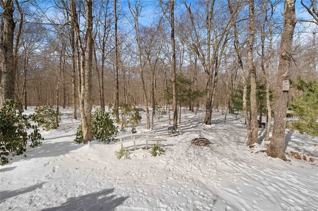 view of yard covered in snow