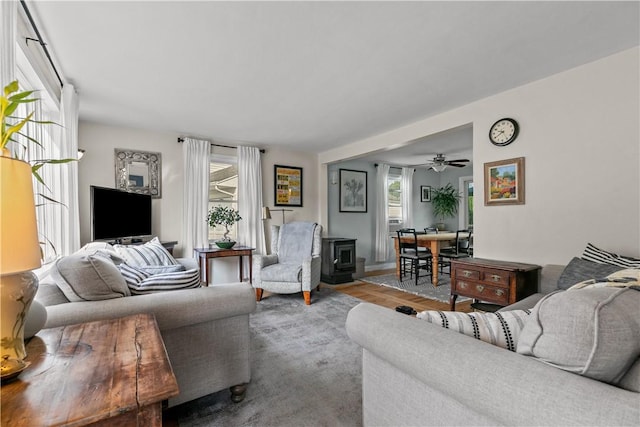 living area with a wood stove