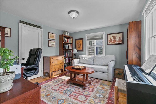 office area featuring plenty of natural light and light wood-style floors