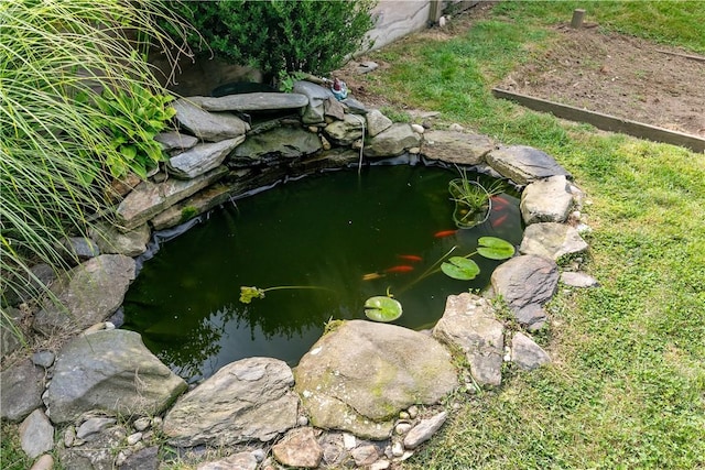 details with a small pond