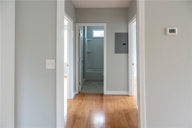 hallway featuring light wood-style flooring, electric panel, and baseboards