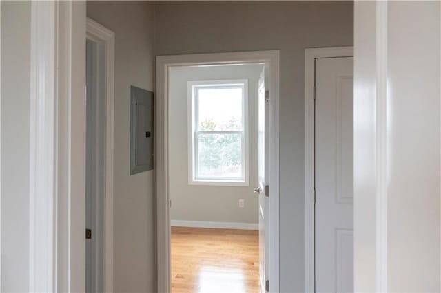 hall featuring light wood-style flooring, electric panel, and baseboards