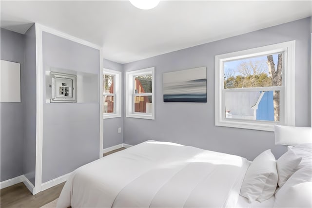 bedroom with multiple windows, baseboards, and wood finished floors