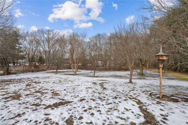 view of yard layered in snow