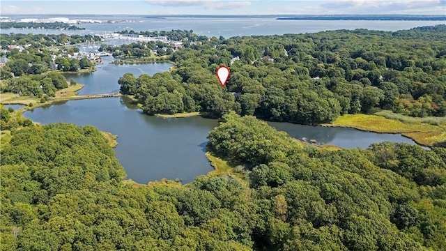 birds eye view of property featuring a water view and a view of trees