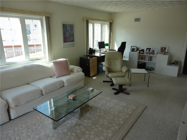 sitting room with carpet and visible vents