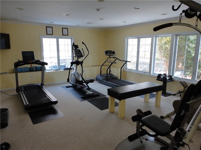 exercise area with plenty of natural light, crown molding, baseboards, and carpet flooring