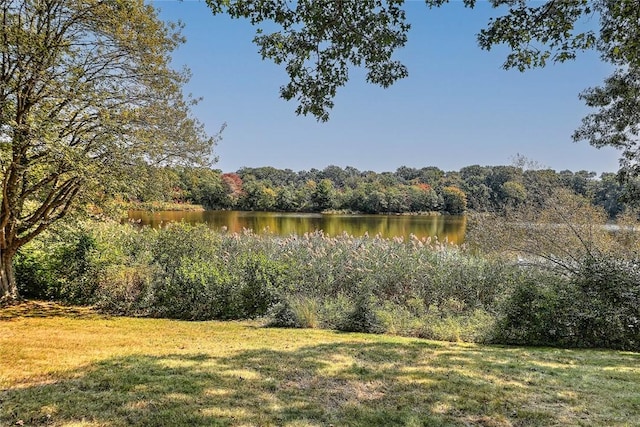 property view of water with a wooded view