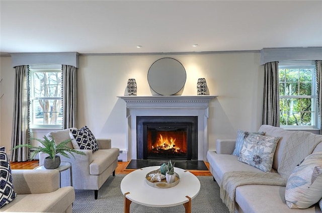 living area featuring ornamental molding, a baseboard radiator, and a wealth of natural light