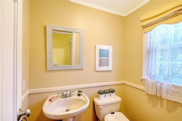 bathroom with crown molding, a healthy amount of sunlight, a sink, and toilet