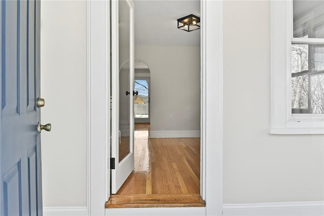 interior space featuring baseboards, plenty of natural light, arched walkways, and wood finished floors