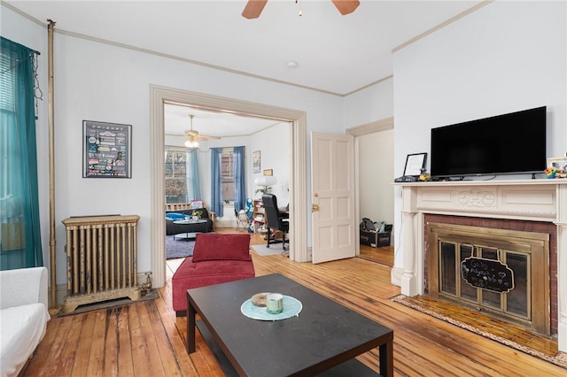 living area featuring crown molding, radiator heating unit, a ceiling fan, a fireplace with flush hearth, and hardwood / wood-style floors